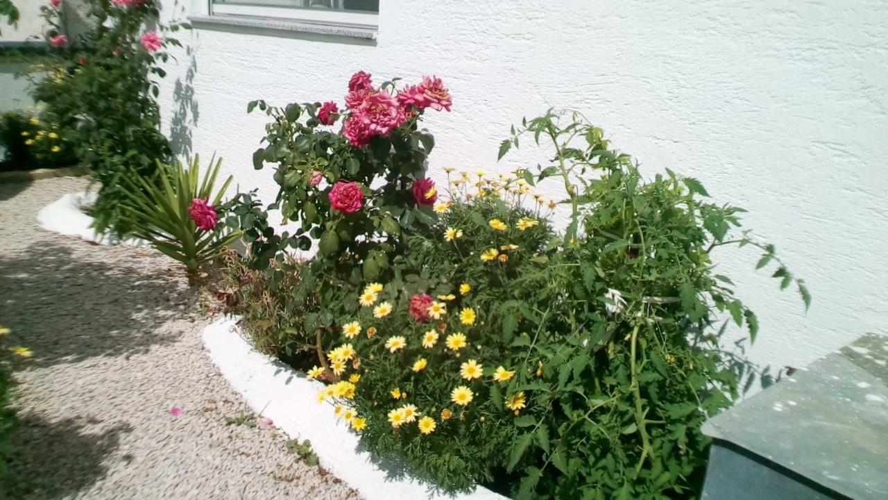Apartment Roko Vir Εξωτερικό φωτογραφία